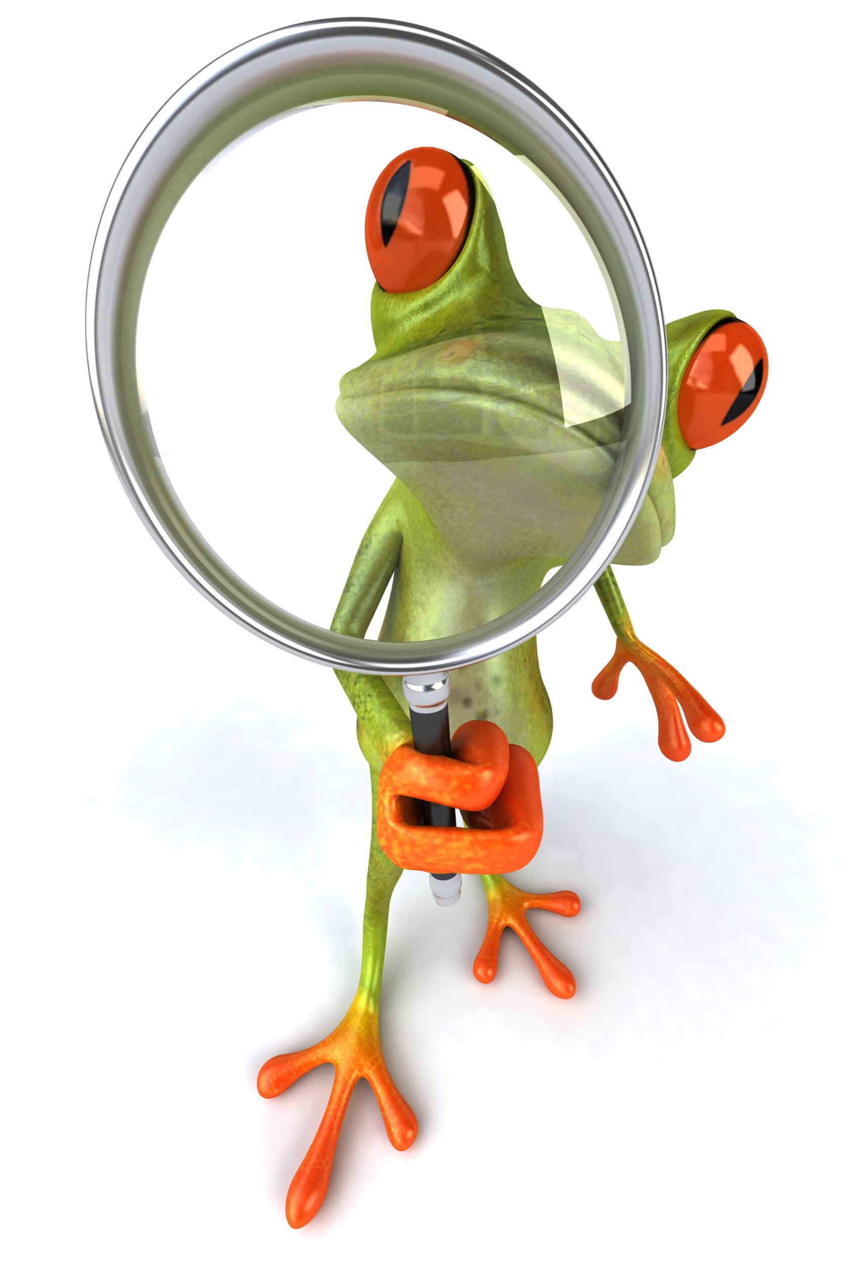Cartoon frog with a magnifying glass